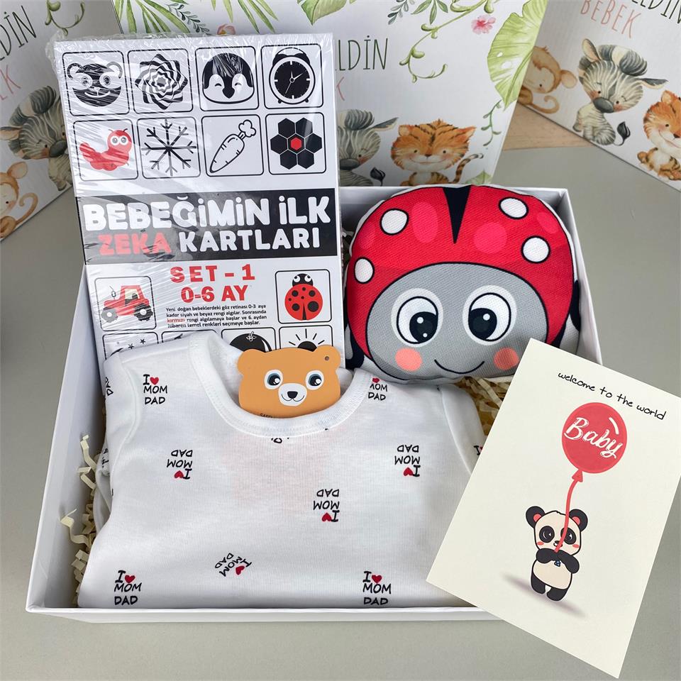 Akıllı Bıdık Bebek Hediye Seti
